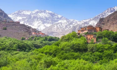 Excursión de un día: Valle de Ourika